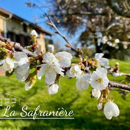 La Safranière Villa Lagraulet-Saint-Nicolas Esterno foto