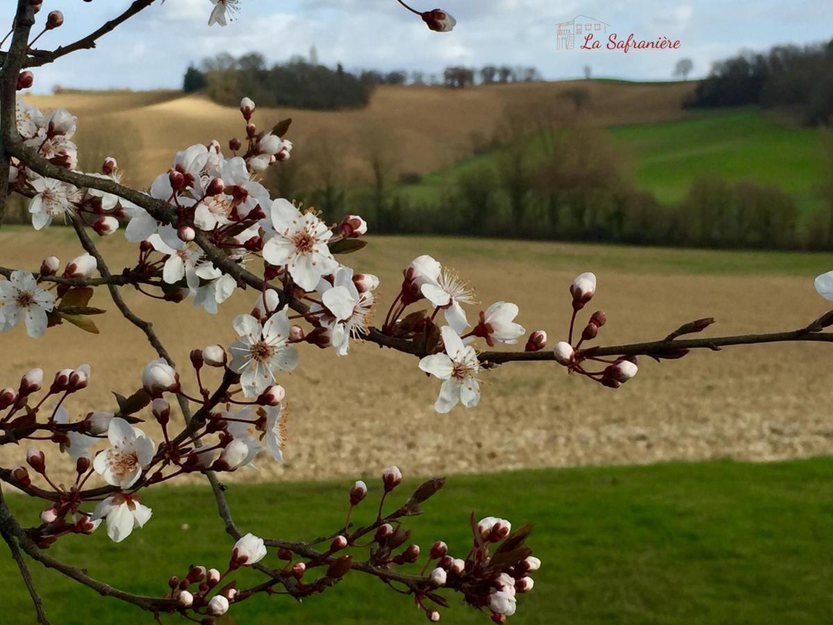 La Safranière Villa Lagraulet-Saint-Nicolas Esterno foto