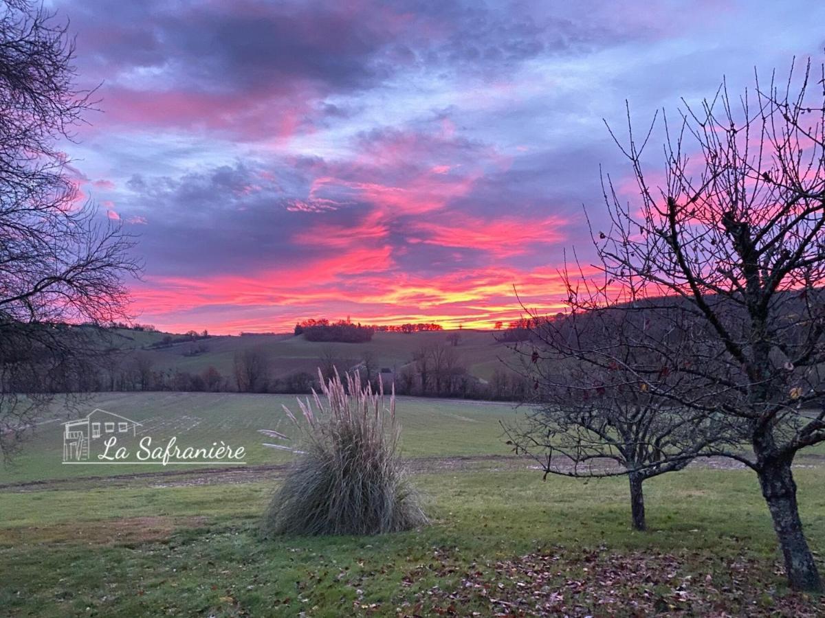 La Safranière Villa Lagraulet-Saint-Nicolas Esterno foto