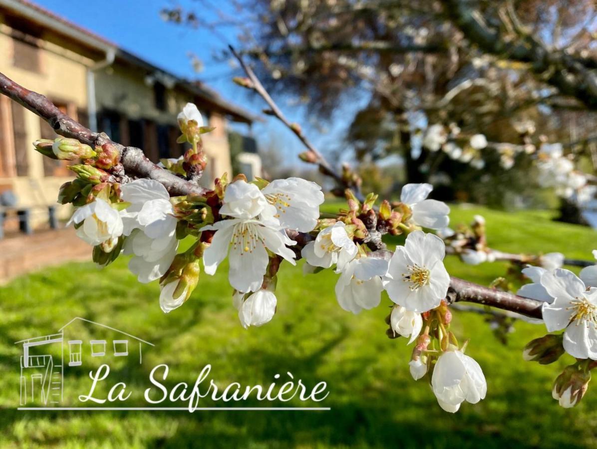 La Safranière Villa Lagraulet-Saint-Nicolas Esterno foto