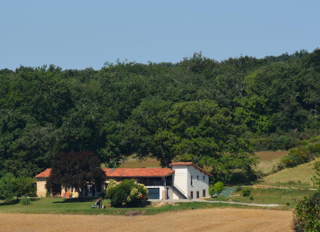 La Safranière Villa Lagraulet-Saint-Nicolas Esterno foto